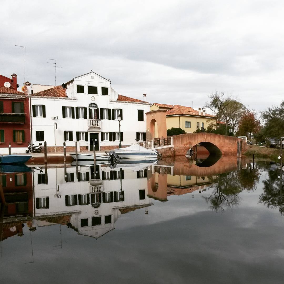 12142089_422679601259456_15622787_n